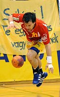 06.12.2008<br>UHK Krems - UHC Tulln/37:19 (16:10)<br>LACHMANN Patrik