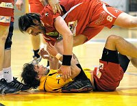 07.02.2007<br>UHK Krems - Union Leoben/42:31(24:10)<br>PAJICIC Goran, CHALUPA Georg
