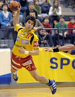 17.12.2008<br>UHK Krems - ULZ Schwaz/31:22 (12:10)<br>SCHOPF Tobias