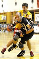 17.12.2008<br>UHK Krems - ULZ Schwaz/31:22 (12:10)<br>RIBIS Markus, GRABNER Bernhard