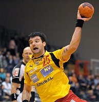 17.12.2008<br>UHK Krems - ULZ Schwaz/31:22 (12:10)<br>PESIC Rados