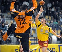 17.12.2008<br>UHK Krems - ULZ Schwaz/31:22 (12:10)<br>BRAZNIKOVS Dimitrijs, LINT Werner