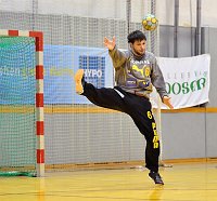 24.10.2009<br>UHK Krems - HIT Innsbruck/35:20 (19:7)<br>FILZWIESER Wolfgang