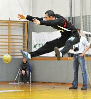 08.05.2010<br>UHK Krems - HC Linz/31:24 (12:9)<br>MIJAILOVIC Nenad<br>