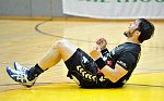 08.05.2011<br>UHK Krems - Bregenz/28:31 (15:18)<br>MAYER Lucas