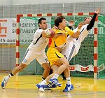 27.11.2010<br>UHK Krems - ASD Albatro/36:20 (19:10)<br>CALVO Andrea, WALZER Guenther, FUSINA Alessandro