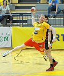 08.05.2011<br>UHK Krems - Bregenz/28:31 (15:18)<br>LINT Werner