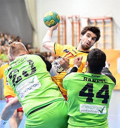 Handball, UHK Krems - SG Westwien