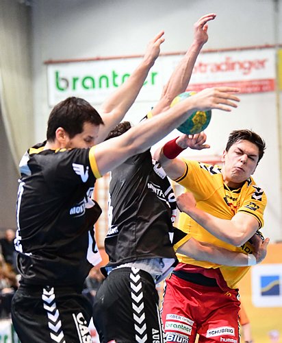 Handball, UHK Krems - Bregenz