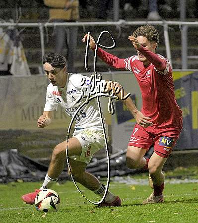 SG Kremser SC/Rehberg KM I - SV Horn