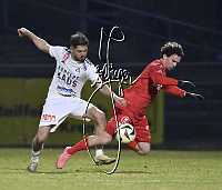 21.03.2025<br>SG Kremser SC/Rehberg KM I - FC Marchfeld Donauauen<br>1:0 (0:0)<br>