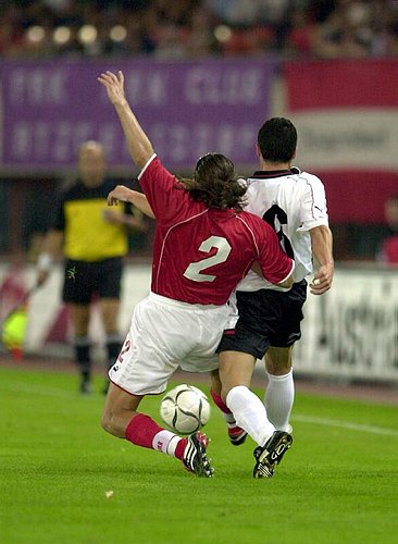 0077_Fl�gel - Zellweger