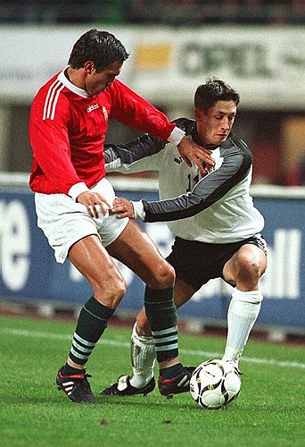 0007_Amerhauser - Feher