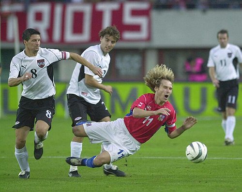 0159_Fl�gel, Standfest - Nedved