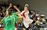 20.12.2011, Krems, Handball, Laenderspiel, Nationalteam, Testspiel, Oesterreich, Algerien<br>HADJAIDJI Abdelatif, DAOUD Hichem, HERMANN Maximilian<br><br><br><br>Copyright DIENER / Zierlinger Karl<br>Marktgasse 3-7 / 4 / 5 / 21<br>A-1090 Wien<br>Telefax +43 1 955 32 35<br>Mobil +43 676 629 98 51<br>BA-CA<br>Bank Nr. 12000<br>Account Nr. 00712 223 783<br>e-mail: agentur@diener.at<br>Datenbank: www.diener.at