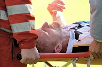 26.09.2004<br>Austria - Sturm Graz/3:0 (2:0)<br>DMITROVIC Boban, scheidet wegen Brustwirbelverletzung aus<br>19. Minute