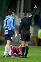 14.11.2004<br>Rapid - Pasching/3:0 (2:0)<br>SCHICKLGRUBER Josef, WISIO Tomasz (Pasching)<br>BRUGGER Bernhard (Schiri)<br>