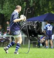 Rugby Krems, Ausportplatz<br>