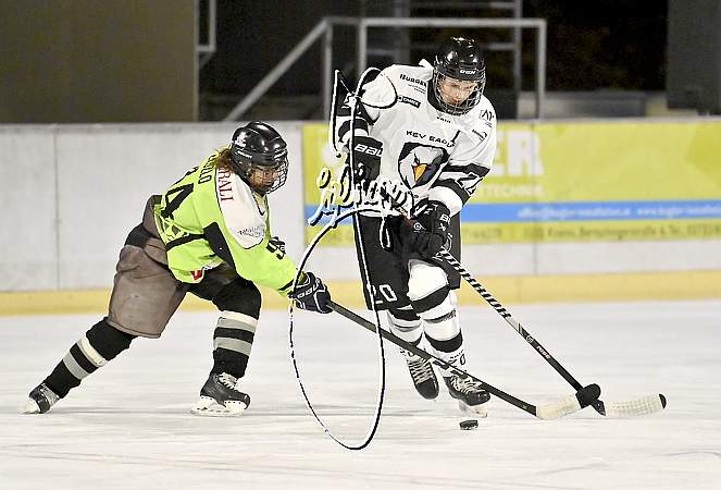 Union Kremser Eislaufverein - EHC Raptors Eisenstadt