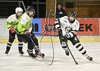 30.11.2024<br>Union Kremser Eislaufverein - EHC Raptors Eisenstadt<br>10:3 (4:1, 3:2,3:0)<br><br>