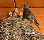 2021<br><br><br><br>Copyright / www. sportfotos. at<br>Missongasse 21<br>A - 3500 Krems<br>zierlinger@sportfotos.at<br>www.sportfotos.at<br>Kremser Bank <br>BIC SPKDAT21XXX<br>IBAN AT392022800704000918<br>