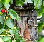 17.07.2023 und 18.07.2023<br><br><br><br>Copyright / www. sportfotos. at<br>Missongasse 21<br>A - 3500 Krems<br>zierlinger@sportfotos.at<br>www.sportfotos.at<br>Kremser Bank <br>BIC SPKDAT21XXX<br>IBAN AT392022800704000918<br>