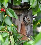 17.07.2023 und 18.07.2023<br><br><br><br>Copyright / www. sportfotos. at<br>Missongasse 21<br>A - 3500 Krems<br>zierlinger@sportfotos.at<br>www.sportfotos.at<br>Kremser Bank <br>BIC SPKDAT21XXX<br>IBAN AT392022800704000918<br>