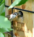 17.07.2023 und 18.07.2023<br><br><br><br>Copyright / www. sportfotos. at<br>Missongasse 21<br>A - 3500 Krems<br>zierlinger@sportfotos.at<br>www.sportfotos.at<br>Kremser Bank <br>BIC SPKDAT21XXX<br>IBAN AT392022800704000918<br>