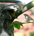 17.07.2023 und 18.07.2023<br><br><br><br>Copyright / www. sportfotos. at<br>Missongasse 21<br>A - 3500 Krems<br>zierlinger@sportfotos.at<br>www.sportfotos.at<br>Kremser Bank <br>BIC SPKDAT21XXX<br>IBAN AT392022800704000918<br>