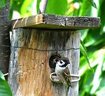 17.07.2023 und 18.07.2023<br><br><br><br>Copyright / www. sportfotos. at<br>Missongasse 21<br>A - 3500 Krems<br>zierlinger@sportfotos.at<br>www.sportfotos.at<br>Kremser Bank <br>BIC SPKDAT21XXX<br>IBAN AT392022800704000918<br>