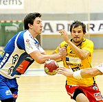 08.10.2011;  Krems;  Handball;  HLA;  UHK Krems - HIT Tirol;<br>HERMANN Maximilian, CHALUPA Georg<br><br>Copyright DIENER / Zierlinger Karl<br>Marktgasse 3-7 / 4 / 5 / 21<br>A-1090 Wien<br>Telefax +43 1 955 32 35<br>Mobil +43 676 629 98 51<br>BA-CA<br>Bank Nr. 12000<br>Account Nr. 00712 223 783<br>e-mail: agentur@diener.at<br>Datenbank: www.diener.at