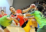 30.12.2011, Krems, Handball, Handball Liga Austria, HLA, UHK Krems, SG Westwien<br>RIEGLER Sebastian, BOZSO Andras, MARTINEZ Patricio Andres<br><br><br>Copyright DIENER / Zierlinger Karl<br>Marktgasse 3-7 / 4 / 5 / 21<br>A-1090 Wien<br>Telefax +43 1 955 32 35<br>Mobil +43 676 629 98 51<br>BA-CA<br>Bank Nr. 12000<br>Account Nr. 00712 223 783<br>e-mail: agentur@diener.at<br>Datenbank: www.diener.at