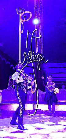 5_1718_Alex KAISER, Weihnachtszirkus