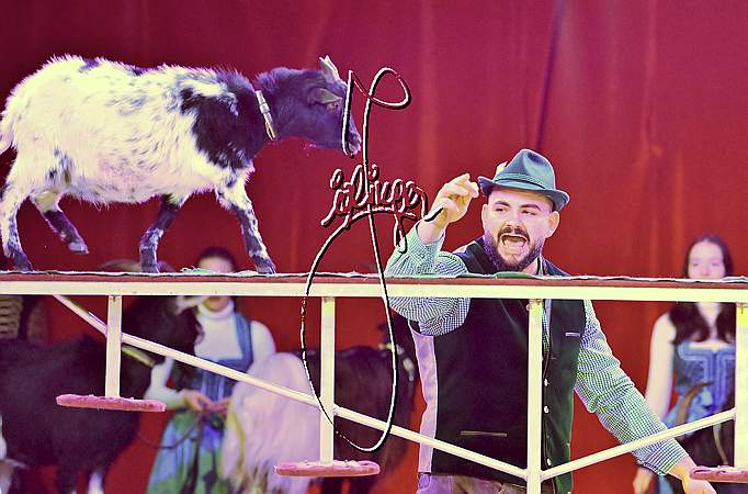 6_2100_Alex KAISER, Weihnachtszirkus