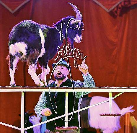 6_2111_Alex KAISER, Weihnachtszirkus