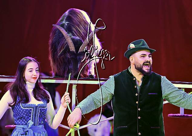 6_2139_Alex KAISER, Weihnachtszirkus