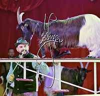 27.12.2024<br>Alex KAISER, Weihnachtszirkus<br><br>Copyright:   sportfotos.at / zierlinger