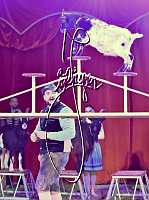 27.12.2024<br>Alex KAISER, Weihnachtszirkus<br><br>Copyright:   sportfotos.at / zierlinger