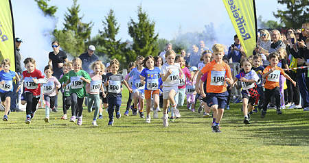 Donaulauf 2024
