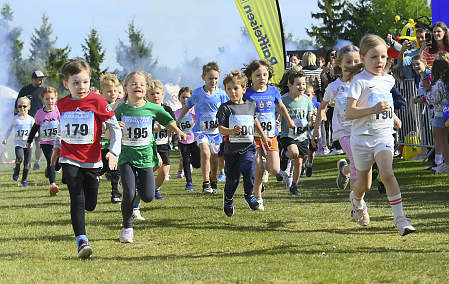 Donaulauf 2024