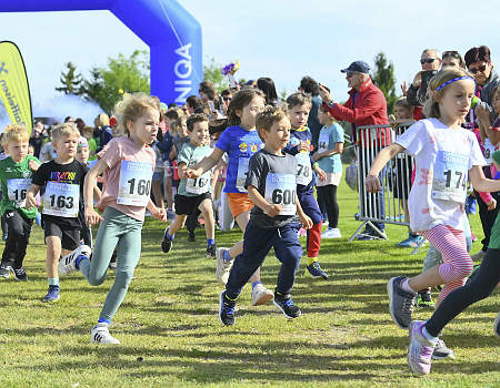 Donaulauf 2024