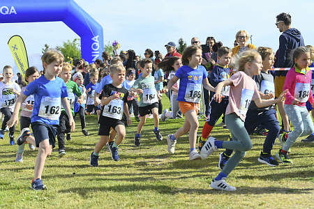 Donaulauf 2024