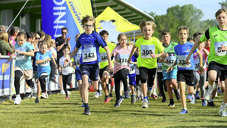 Donaulauf 2024