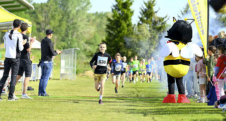 Donaulauf 2024