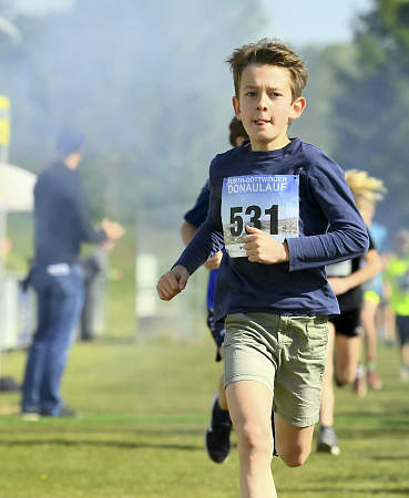 Donaulauf 2024