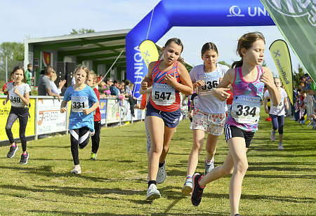 Donaulauf 2024