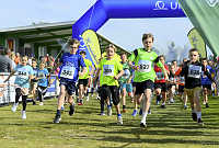 28.04.2024<br>Copyright sportfotos.at / Zierlinger Karl 
