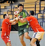 25.01.2012, Krems, Handball, Testspiel, UHK Krems, SG Westwien<br>BOZSO Andras, RIEGLER Sebastian, LAZAREVIC Uros<br><br><br>Copyright DIENER / Zierlinger Karl<br>Marktgasse 3-7 / 4 / 5 / 21<br>A-1090 Wien<br>Telefax +43 1 955 32 35<br>Mobil +43 676 629 98 51<br>BA-CA<br>Bank Nr. 12000<br>Account Nr. 00712 223 783<br>e-mail: agentur@diener.at<br>Datenbank: www.diener.at